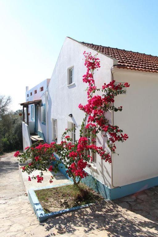 Casa Do Avo Teixeira Villa Sesimbra Bagian luar foto