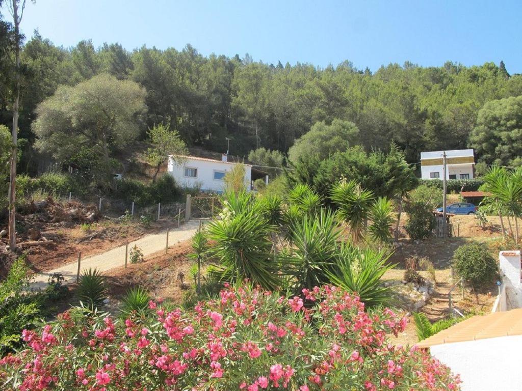 Casa Do Avo Teixeira Villa Sesimbra Bagian luar foto